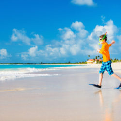 shutterstock_1627926601